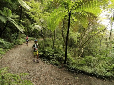 Rainforest trails in Costa Rica’s Premier Development in the Central Pacific with Luxury Houses for sale