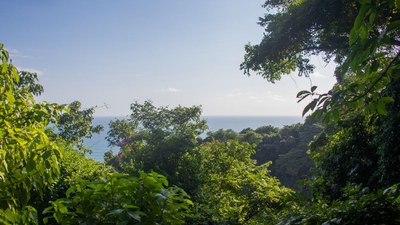Magnificent paradise where you can live and work near the sea in Costa Rica