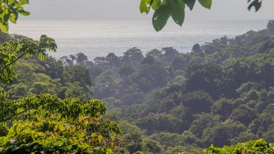 jungle view - Magnificent paradise where you can live and work near the sea in Costa Rica - pre-construction villa for sale