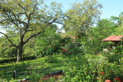 Garden, Sun Real Estate