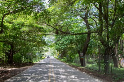 Main Road to Playa Potrero