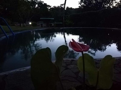 piscina de noche - the pool nby night.jpg