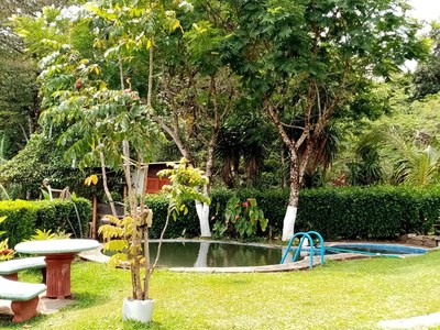 Piscina, jardin - garden with pool.jpg