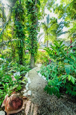 Garden / Jungle Area