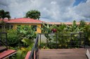 PROPERTY SURROUNDED BY HUNDREDS OF TROPICAL PLANTS AND FRUIT TREES.