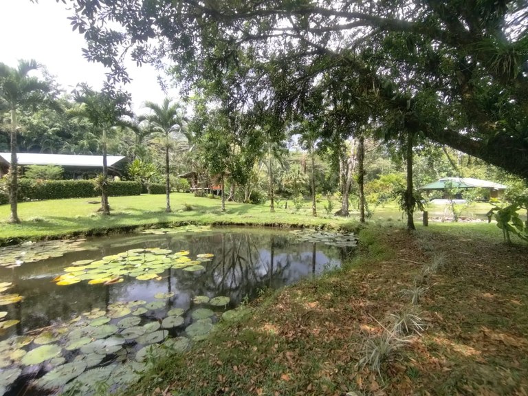 Pristine Business for Sale in Santo Domingos Forest, 3 cabins surrounded by wild nature, Tilapia lake with a dock, and a Restaurant