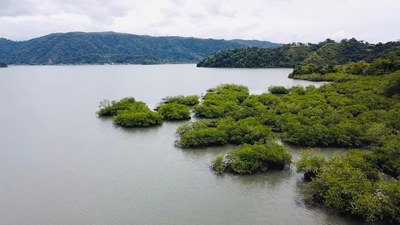 Venta lote frente al mar Bahía Golfito Costa Rica