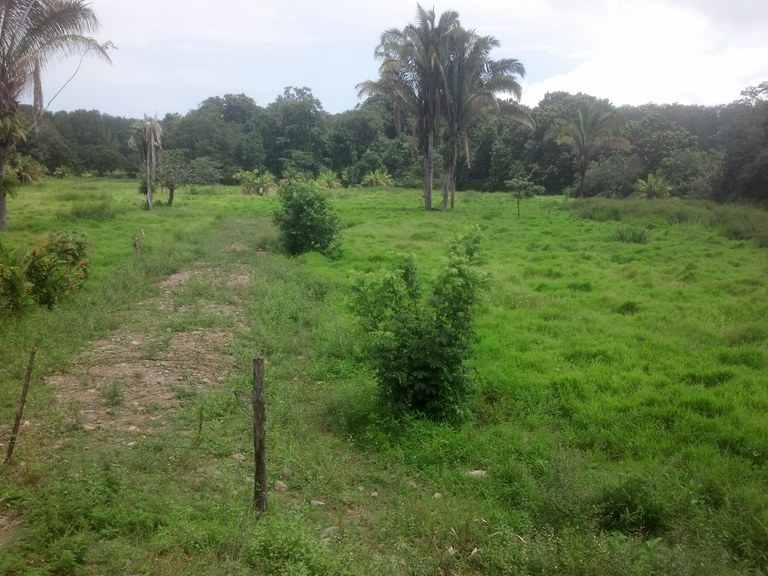 Main Photo of a Farm for sale