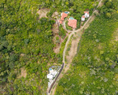 Villas Over Flamingo Aerial View.jpg