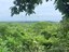 Ocean view Farm in Tamarindo - LL2100193 (2).jpg