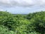 Ocean view Farm in Tamarindo - LL2100193 (1).jpg