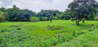 Residential Development Lot, 5 Minutes to the Beach, for sale!