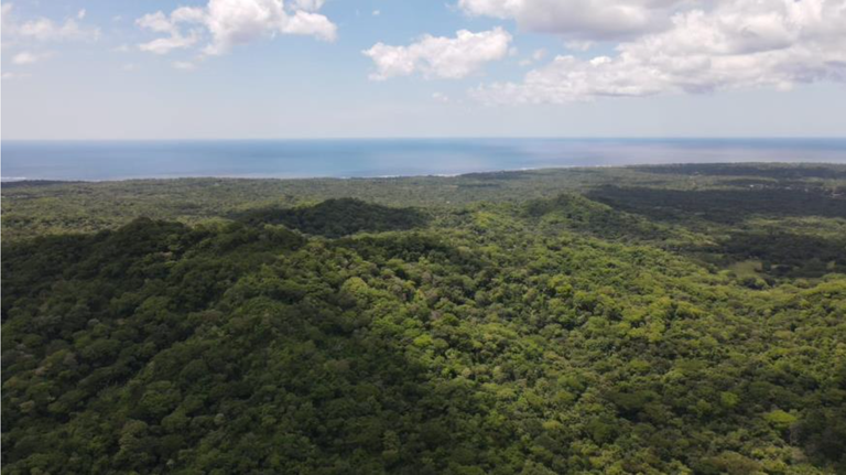 First Time Listed! Playa Avellanas Costa Rica Ocean View Development Land for Sale