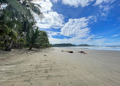 Venta Lote Titulado a 250 metros del mar en línea recta Playa Costa de Oro Guanacaste Costa Rica