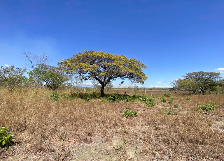 Land for Sale in Liberia, Guanacaste(1 min away from Daniel Oduber Airport) 