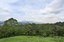 hacienda-gregal-panoramic-view-lot-5.jpg