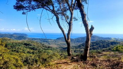 3-Ocean View Lot for Sale Playa Carillo Costa Rica.jpg
