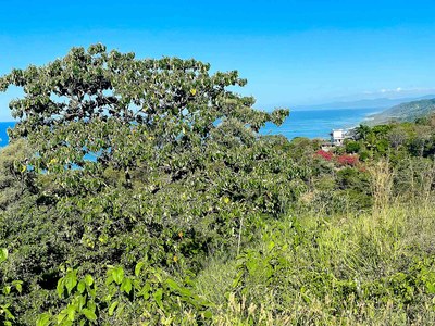 ocean-and-jungle-panoramic-hilltop-8.jpg