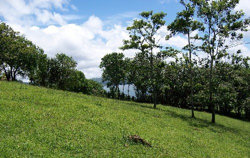 La Foresta: Building lot of 3+ acres in 2 plots, with peekaboo lake view  - Seller motivated ! 