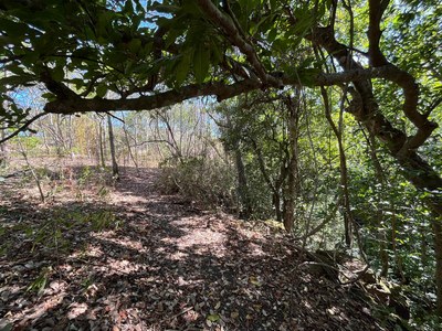 11. Steiner_Investment_Real_Estate-Oview-Lot-Terreno-For_Sale-Papagayo-Costa_Rica-T180.jpg