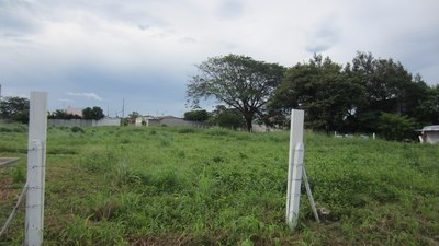 8. Steiner_Investment_Real_Estate-Oview-Lot-Terreno-For_Sale-Guanacaste-Costa_Rica-T31.JPG