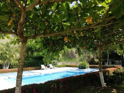 hacienda-verde-jaco-jardin-piscina-2.jpeg