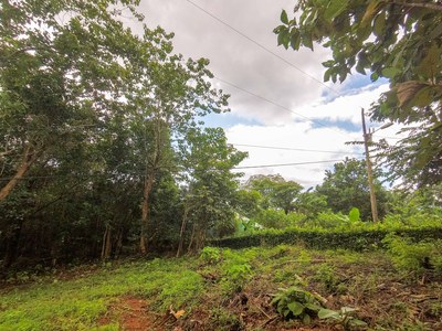 Land for sale in costa rica - Lot Red ground view of lot-2.jpg