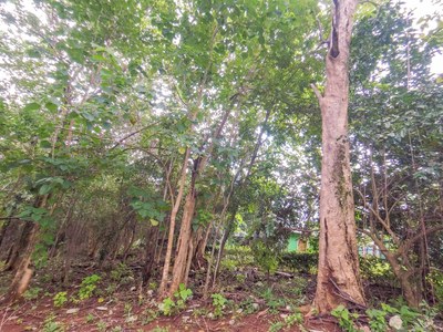 Land for sale in costa rica - Lot Red property.jpg
