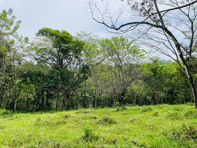 Venta finca Puriscal Piedras Negras Costa Rica