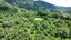 drone jungle mountain view.jpg
