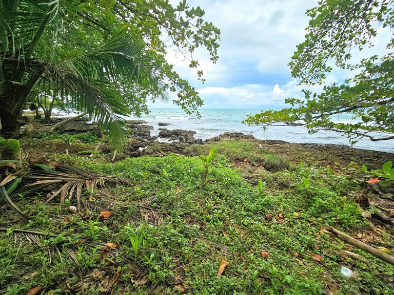 Rare, titled 3472m oceanfront property: Investors Dream Property in Cahuita with Unparalleled Potential