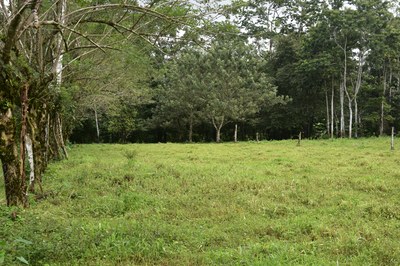 Río Bijagua Farm