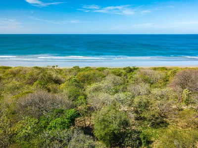 Playa Grande Costa Rica Beachfront Acre Drone 09.jpg