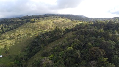 Colina del Tapir