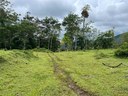 For sale: A farm perfect for developing your business in Upala
