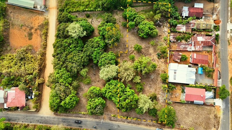 FRUIT TREE PROPERTY FOR SALE: Se Vende Terreno para Construcción en Perez Zeledon