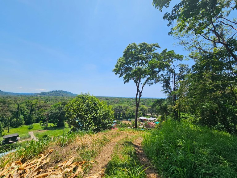 700m2 Ocean & Mountain View Platform On 3,300m2 Lot: Just outside Puerto Viejo