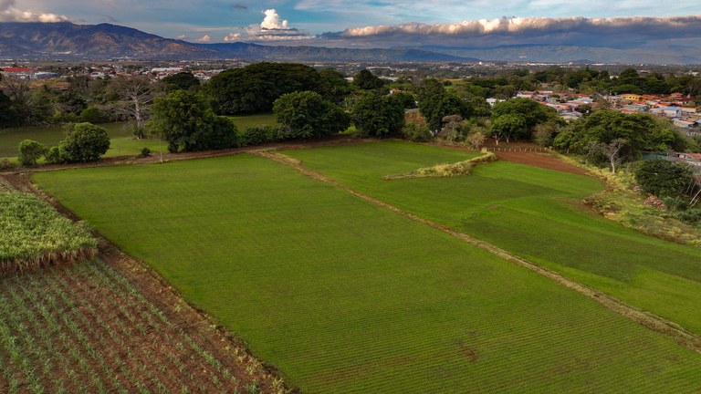 Flat Land for Sale Near International Airport: Se Vende Terreno para Desarrollar Cerca del Mar en San Isidro