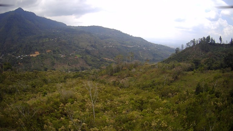 Mountain Paradise: Prime Lot for Sale in San Gerónimo: Mountain Paradise Prime Lot