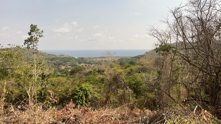LOTE COROZALITO: an expansive 9,028 square meter ocean-view parcel that offers a world of possibilities