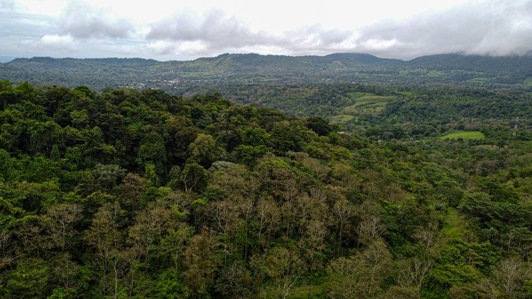 Bosque Bijagua: Prime Forest Land for Sale Near Bijagua, Costa Rica!