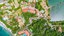 Aerial View of 2 Storie Ocean View Luxury Condominium in Flamingo