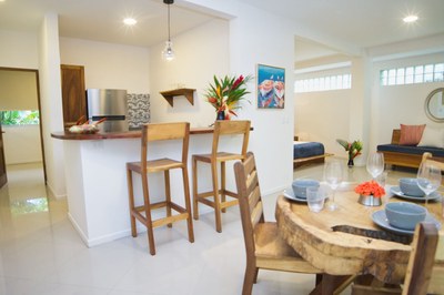 Great Room Casa Guana II: 2 Bedroom 2 Bath Riverfront Residence for Rent in Surfside / Playa Potrero