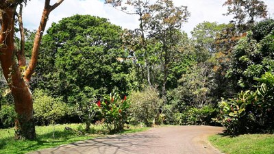 Villa Bougainvillea (2).jpeg
