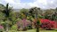 Villa Bougainvillea (14).jpeg
