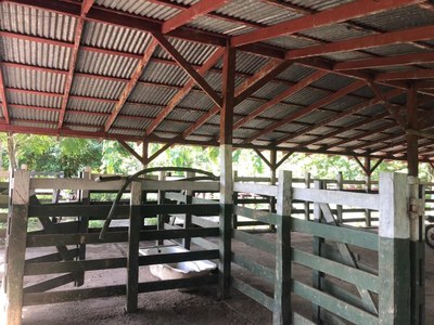 Teak farm with stable – Stable - RS1900725 (3).jpg