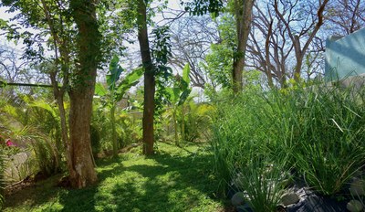 9 Garden - Luxury villa Tamarindo for sale 300m beach 2.JPEG