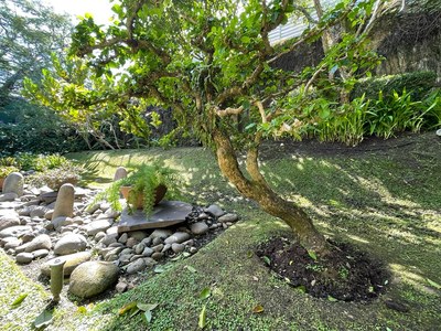 Venta Casa un Piso con Amplio Jardín Santa Ana Costa Rica