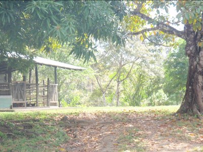 Luxury Villa for Sale in Costa Rica - Quebrada Estate_stables.jpeg