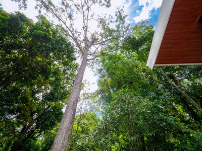Surrounded by trees. Rainforest dream house for sale in Costa Rica Near the Coast